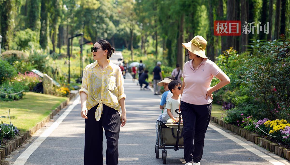 天9国际官网